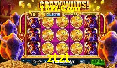 ztzt Brasília - Betting Features